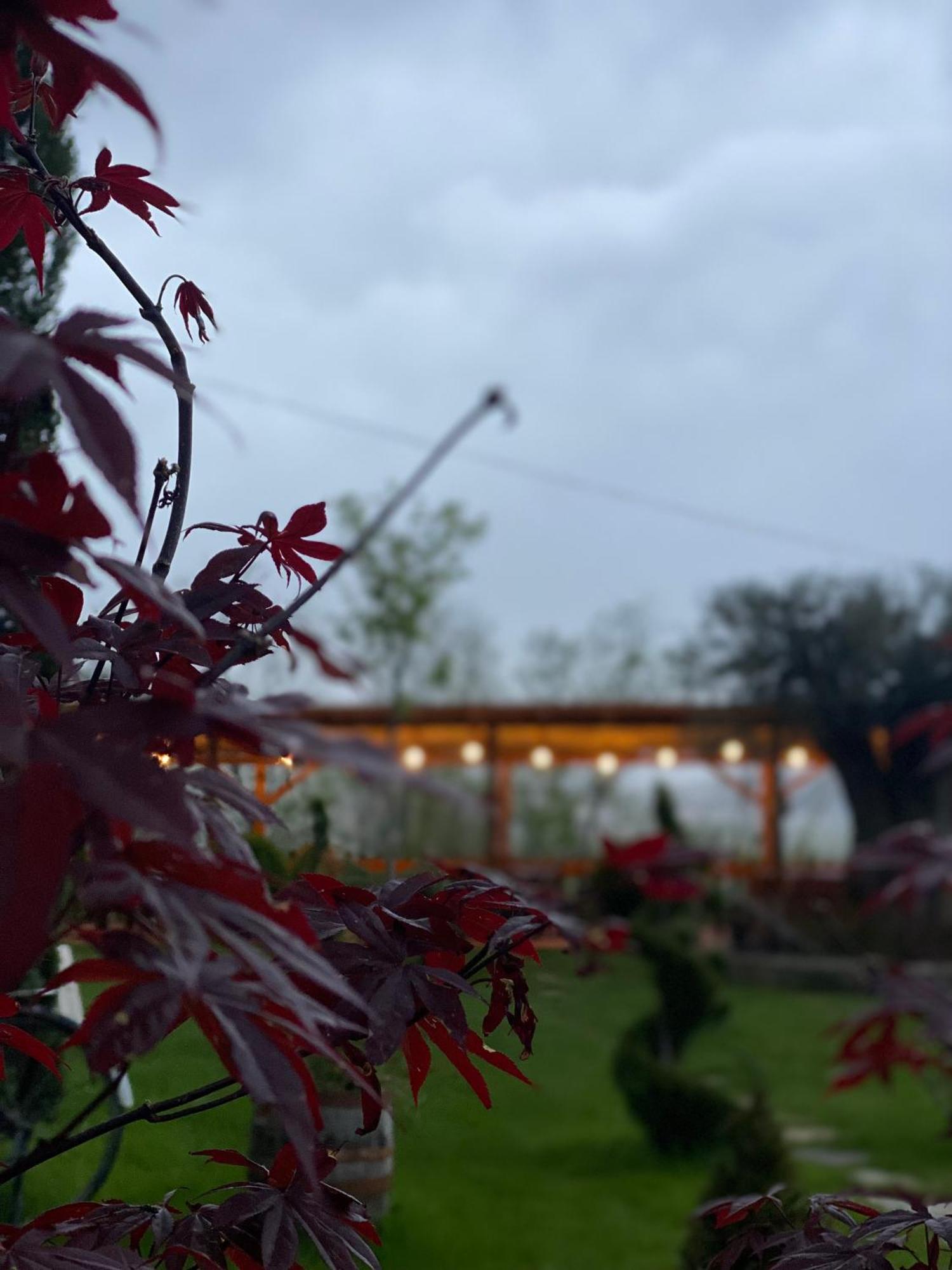Hotel Restaurant Natyra E Qete Lezha Kültér fotó
